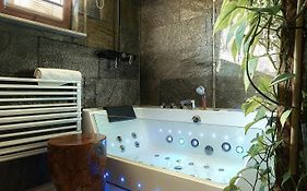 Apartament Rykowisko
